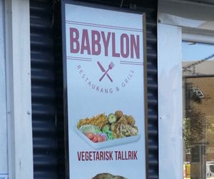 Vegetarian Plate at Babylon Grill in Malmo