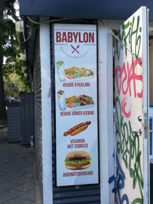 Vegan food at Babylon Grill in Malmo