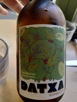Lemon eucalyptus kombucha at Xuxu in Biarritz
