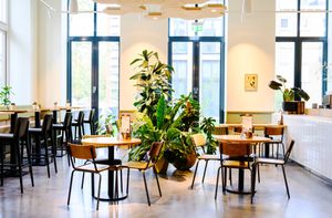 Garden side at Lab071 in Leiden