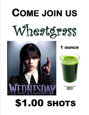 Come by the greenhouse for some FRESH squeezed, organic wheatgrass juice on Wednesday and get 1 ounce shots for $1.00!! at Universal Living Sprouts in West Palm Beach