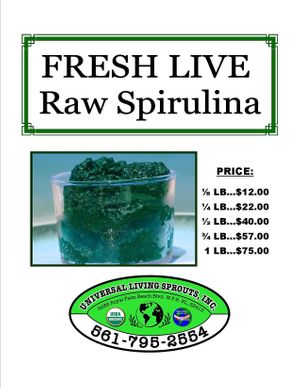 FRESH Spirulina! Please call in advance to order and pick up at the greenhouse. at Universal Living Sprouts in West Palm Beach
