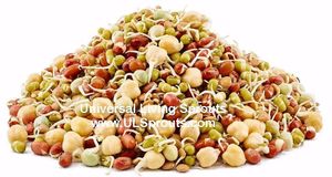 Mixed bean sprouts! at Universal Living Sprouts in West Palm Beach