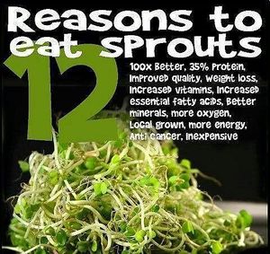 Any seed grown for 8-12 days is considered a 'microgreen' now. Sprouts are seeds that are soaked and sprouted for 2-5 days in a jar. Microgreens are most often grown on soil. at Universal Living Sprouts in West Palm Beach