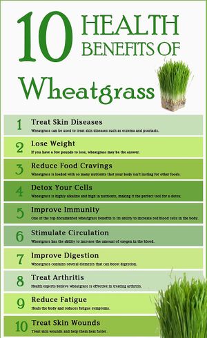 10 things wheatgrass juice is good for! *Remember, you need to juice wheatgrass with a slow, mastication juicer. at Universal Living Sprouts in West Palm Beach