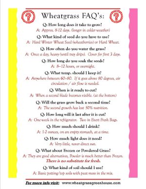 Some of the most asked questions about wheatgrass growing. at Universal Living Sprouts in West Palm Beach