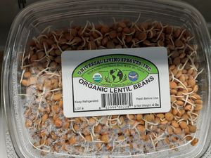  at Universal Living Sprouts in West Palm Beach