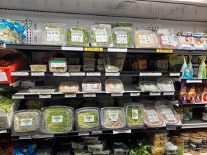  at Universal Living Sprouts in West Palm Beach