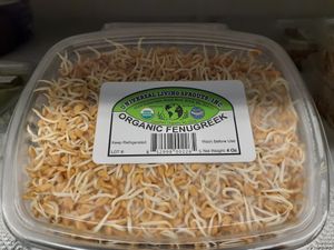  at Universal Living Sprouts in West Palm Beach