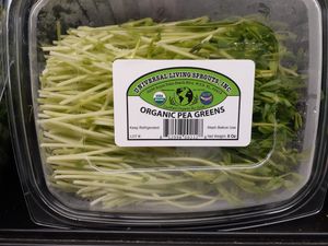  at Universal Living Sprouts in West Palm Beach