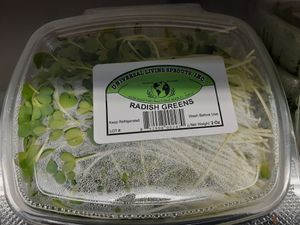  at Universal Living Sprouts in West Palm Beach