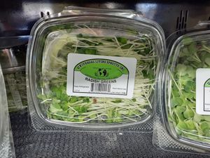  at Universal Living Sprouts in West Palm Beach