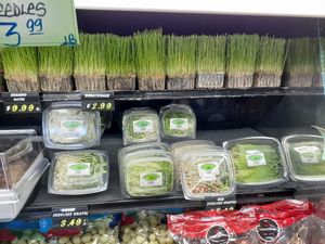  at Universal Living Sprouts in West Palm Beach