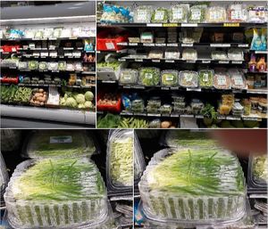  at Universal Living Sprouts in West Palm Beach