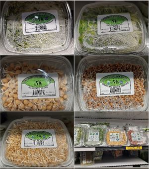  at Universal Living Sprouts in West Palm Beach