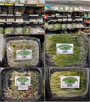  at Universal Living Sprouts in West Palm Beach