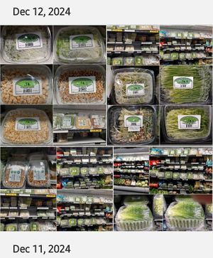  at Universal Living Sprouts in West Palm Beach