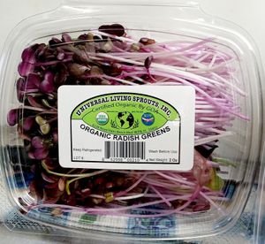  at Universal Living Sprouts in West Palm Beach