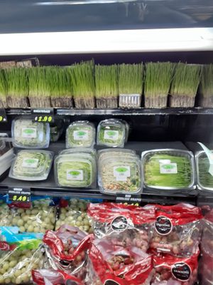  at Universal Living Sprouts in West Palm Beach