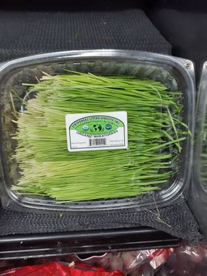  at Universal Living Sprouts in West Palm Beach