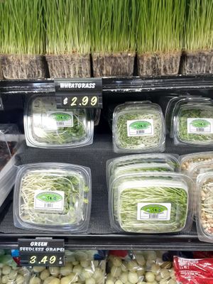  at Universal Living Sprouts in West Palm Beach