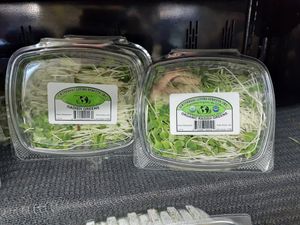  at Universal Living Sprouts in West Palm Beach