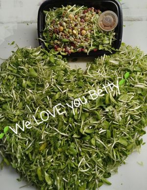  at Universal Living Sprouts in West Palm Beach