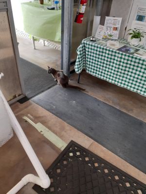  at Universal Living Sprouts in West Palm Beach