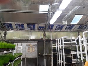 Taken inside the Greenhouse at Universal Living Sprouts on 9.26.2024 - improper building materials used - Insulation  Boards treated with termite insecticide, Toxic Aluminum Foil Tape  wrapped around air co. vents, etc..  at Universal Living Sprouts in West Palm Beach