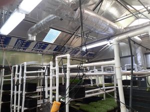 Taken inside the Greenhouse at Universal Living Sprouts on 9.26.2024 - improper building materials used - Insulation  Boards treated with termite insecticide, Toxic Aluminum Foil Tape  wrapped around air co. vents  at Universal Living Sprouts in West Palm Beach