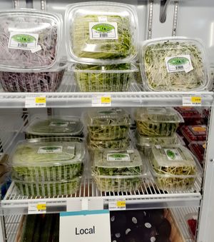  at Universal Living Sprouts in West Palm Beach