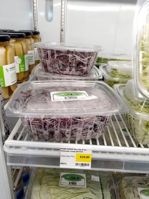  at Universal Living Sprouts in West Palm Beach