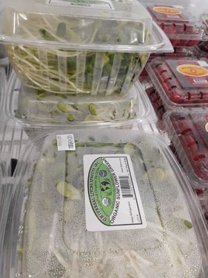  at Universal Living Sprouts in West Palm Beach