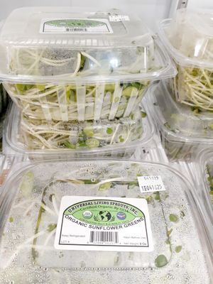  at Universal Living Sprouts in West Palm Beach