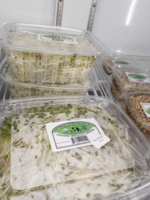  at Universal Living Sprouts in West Palm Beach