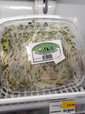  at Universal Living Sprouts in West Palm Beach