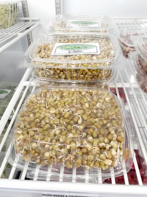  at Universal Living Sprouts in West Palm Beach