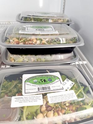  at Universal Living Sprouts in West Palm Beach