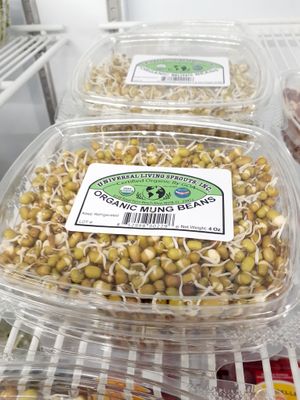  at Universal Living Sprouts in West Palm Beach