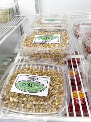  at Universal Living Sprouts in West Palm Beach