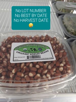 Sprouted Adzuki Beans - 5.19.2025 at Life Extension at Universal Living Sprouts in West Palm Beach
