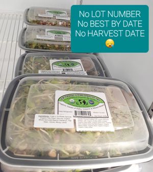 5.19.2025 at Life Extension at Universal Living Sprouts in West Palm Beach