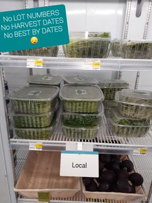 5.19.2025 at Life Extension at Universal Living Sprouts in West Palm Beach