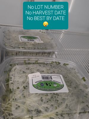 5.19.2025 at Life Extension at Universal Living Sprouts in West Palm Beach