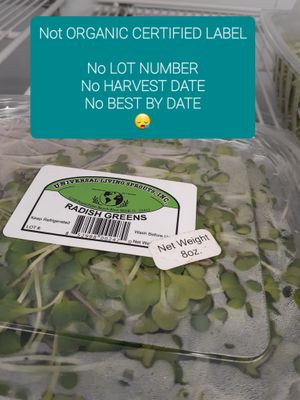 5.19.2025 at Life Extension at Universal Living Sprouts in West Palm Beach