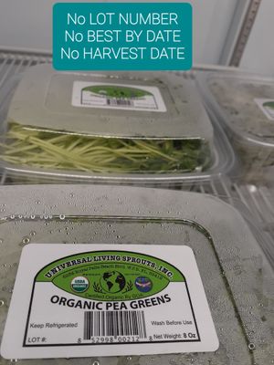 5.19.2025 at Life Extension at Universal Living Sprouts in West Palm Beach