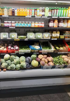 Palm Beach County Retailer at Universal Living Sprouts in West Palm Beach