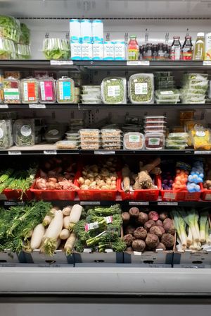 Palm Beach County Retailer at Universal Living Sprouts in West Palm Beach