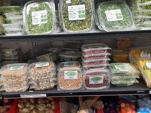 Problematic Moldy Sprouted Organic Beans & Legumes at Universal Living Sprouts in West Palm Beach