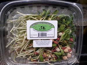 Organic Salad at Universal Living Sprouts in West Palm Beach